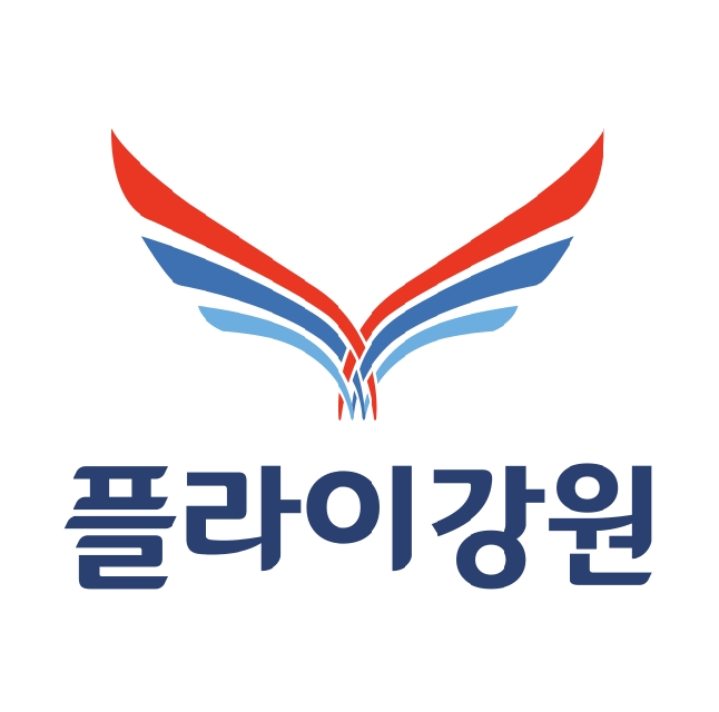 Fly Gangwon logo
