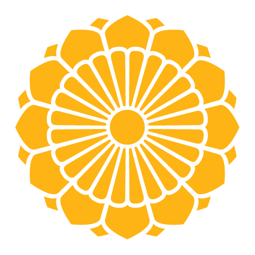 Myanmar National Airlines logo