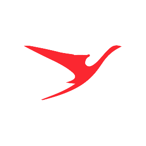 Surinam Airways logo