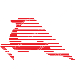 Tunisair Express logo