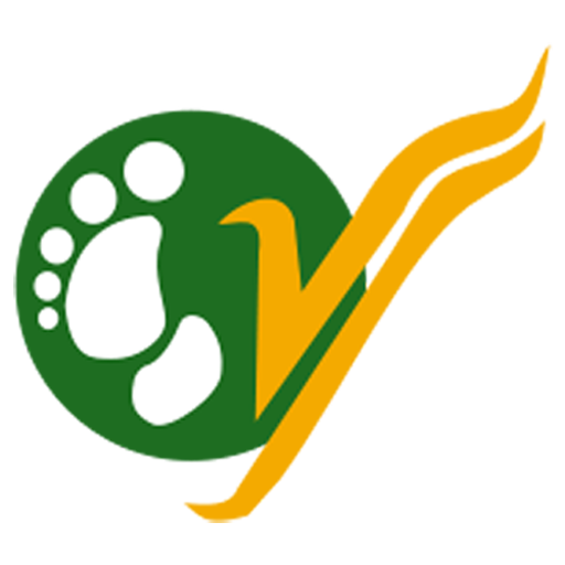 Yeti Airlines logo