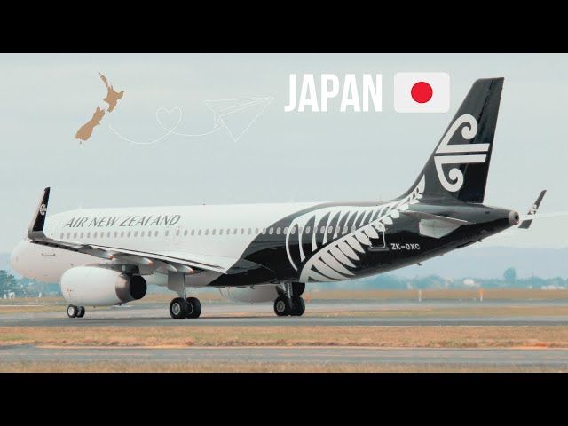 Hanaichi Japanese at AKL