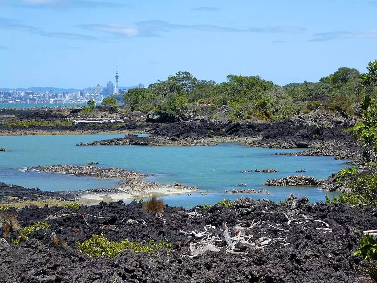 Rangitoto Island Hike at AKL