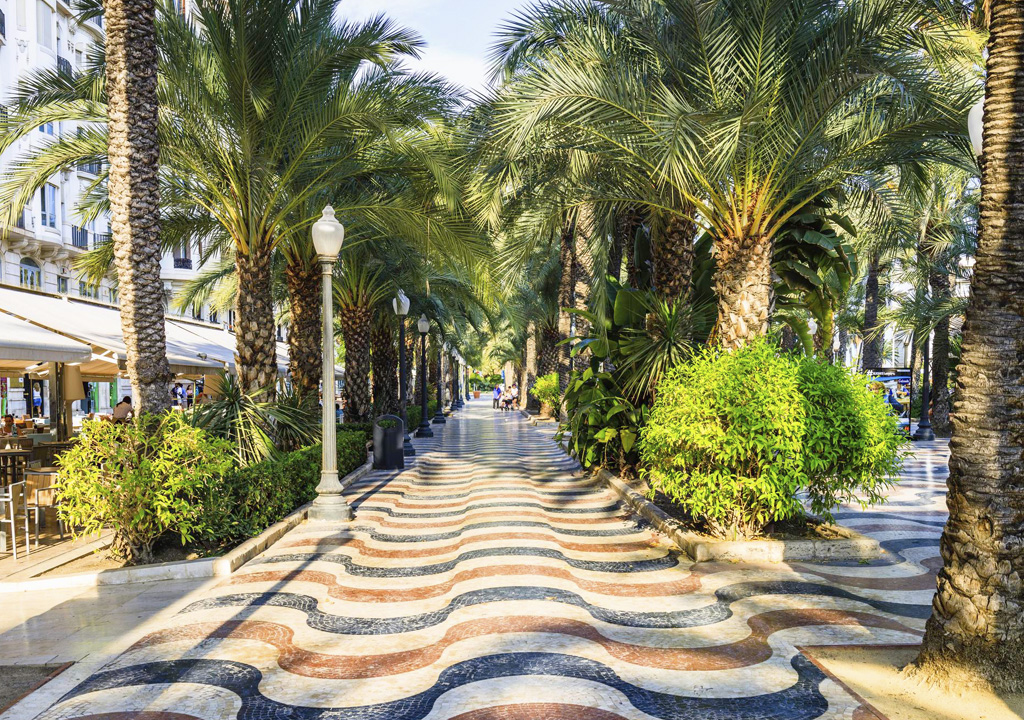 Alicante City Center from ALC