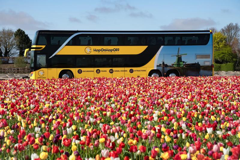 Day Trip to Keukenhof Gardens at AMS