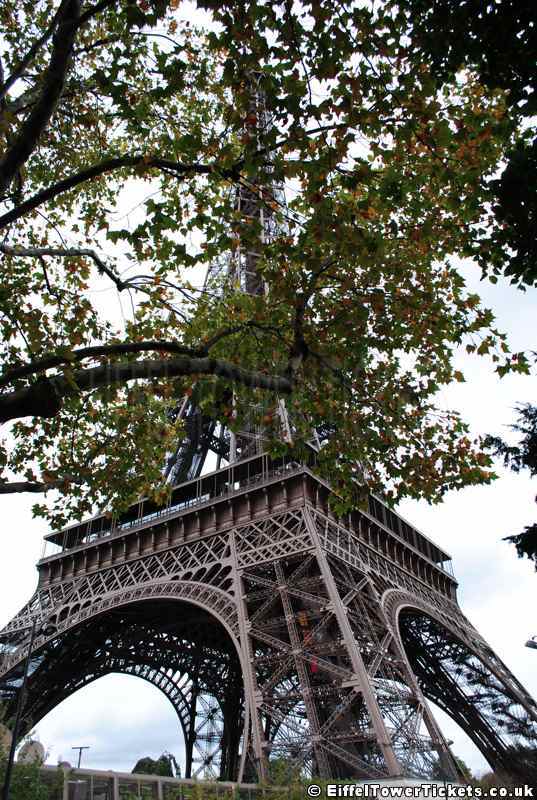 Visit the Eiffel Tower at CDG