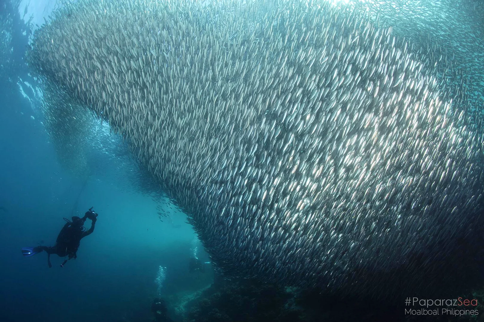 Moalboal (Sardine Run) from CEB