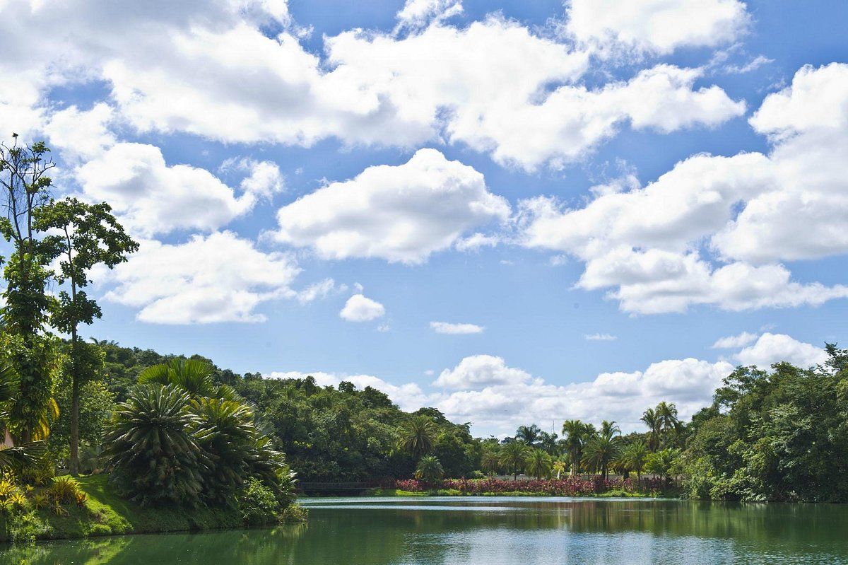 Inhotim Institute at CNF