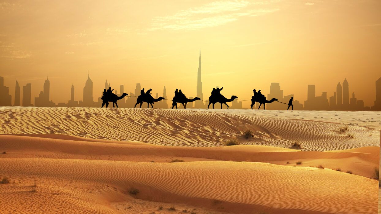 Desert Safari (Extended Layover) at DXB