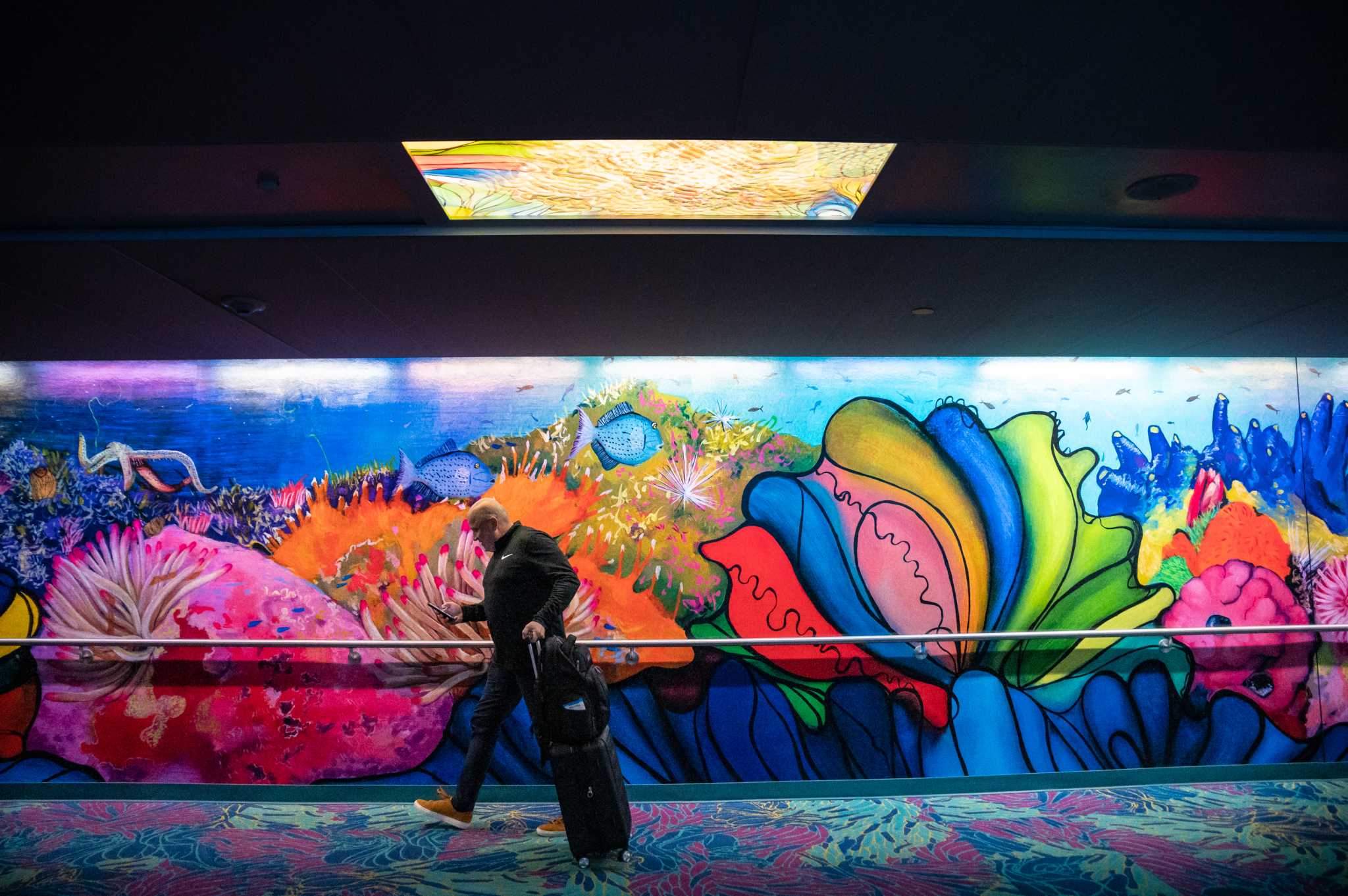 Discover Houston Street Art (if 6+ hrs) at IAH