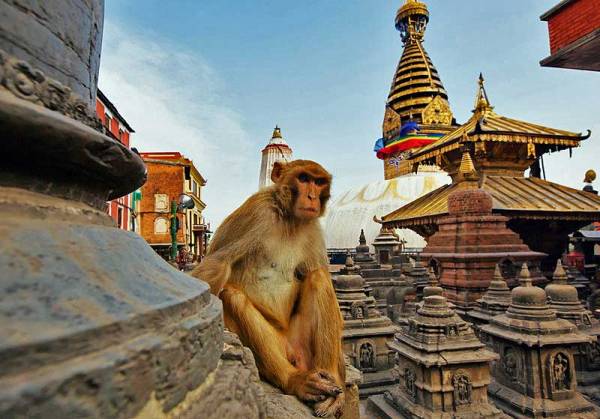 Swayambhunath (Monkey Temple) at KTM