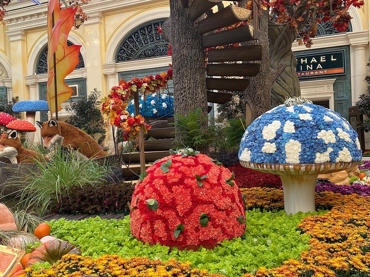 Bellagio Fountains & Conservatory at LAS