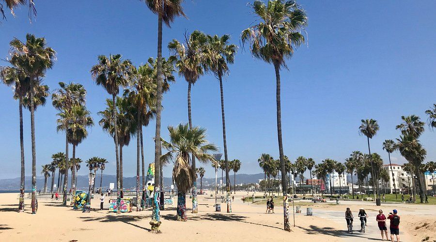 Visit Venice Beach & Boardwalk at LAX