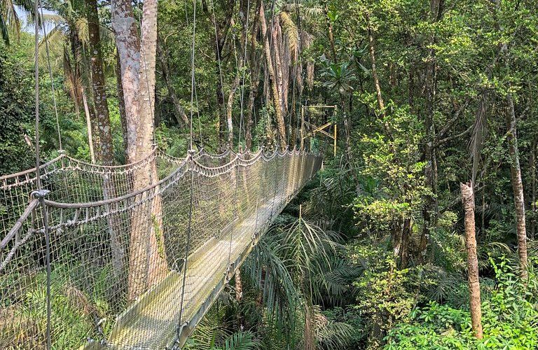 Lekki Conservation Centre at LOS
