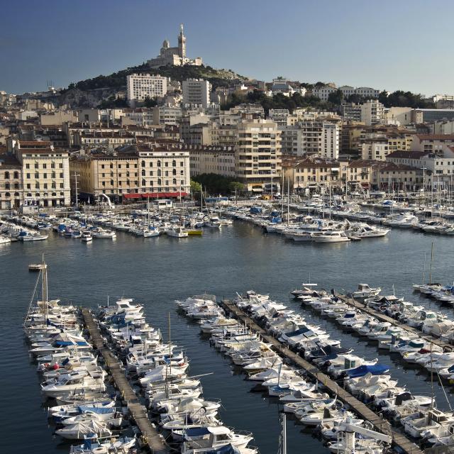 Explore Marseille Vieux-Port at MRS