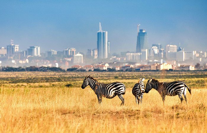 Nairobi National Park from NBO