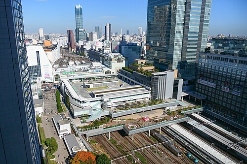 Shinjuku Station from NRT