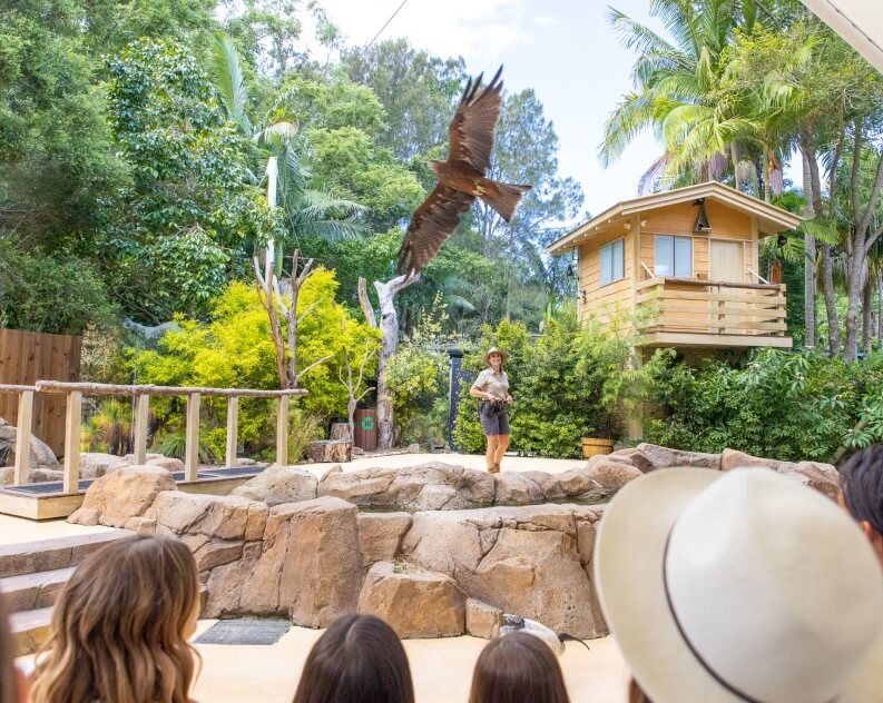 Currumbin Wildlife Sanctuary at OOL