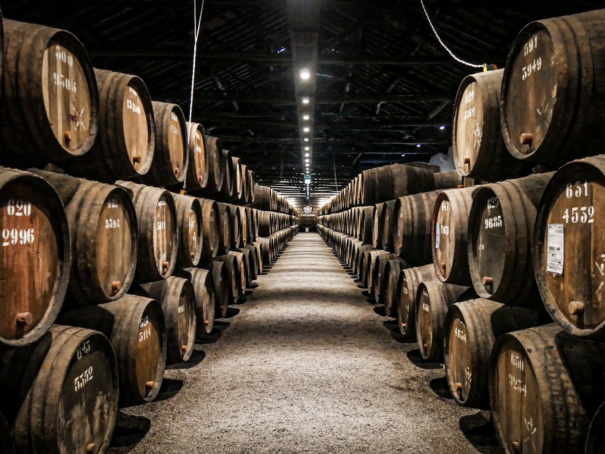 Port Wine Tasting in Vila Nova de Gaia at OPO