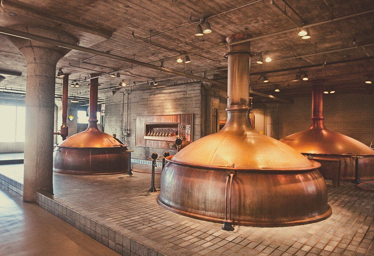 Anchor Brewing Taproom at SFO