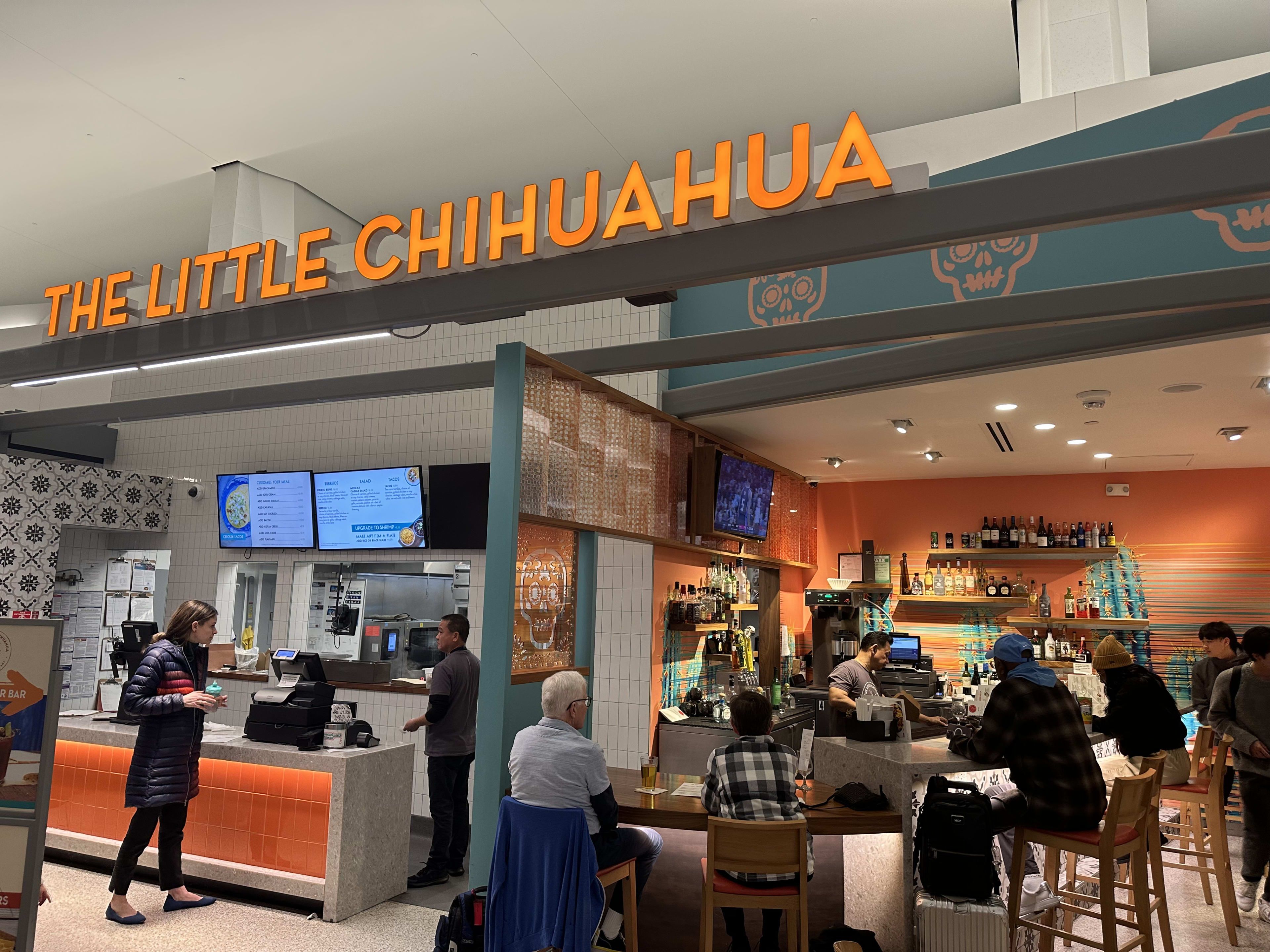 The Little Chihuahua at SFO