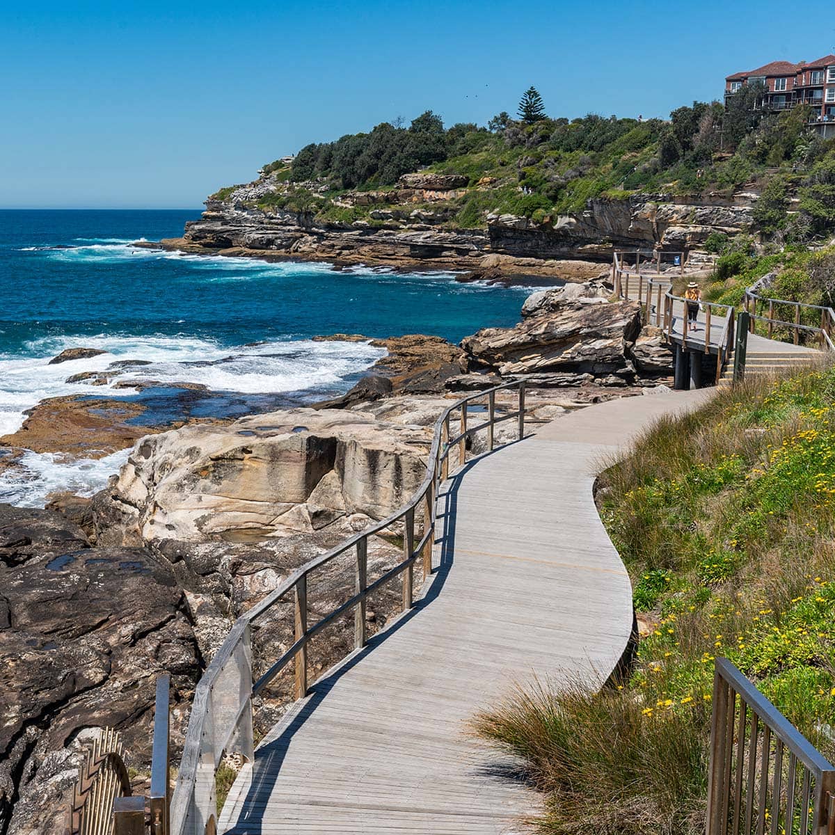Bondi to Coogee Coastal Walk at SYD