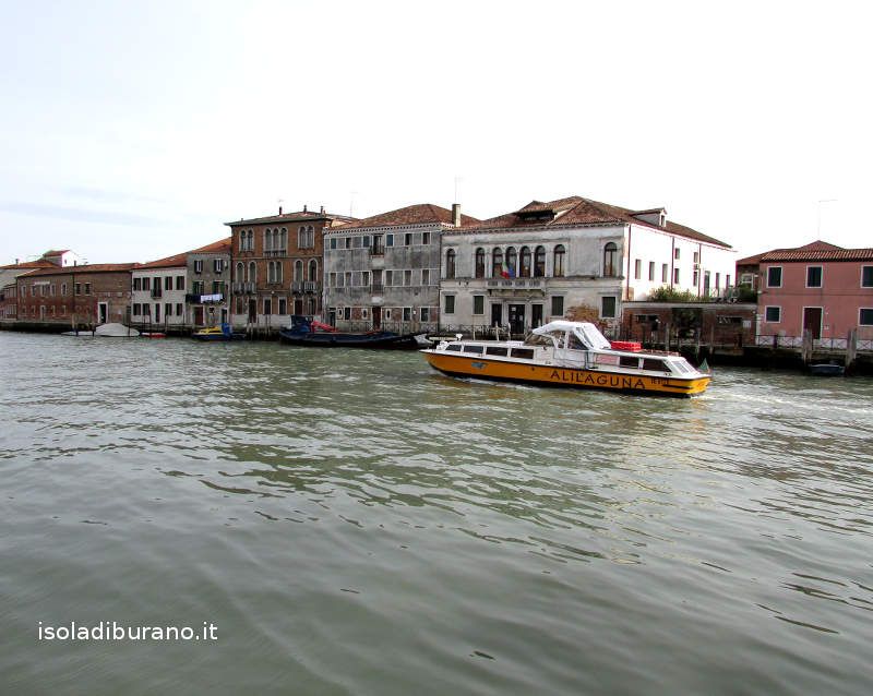 Explore Murano Glass Island at VCE