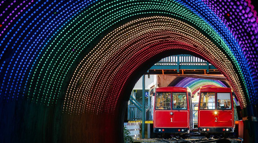 Wellington Cable Car & Botanic Garden at WLG
